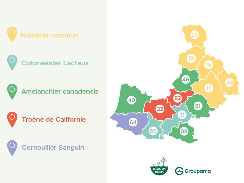 GDMR_GOC_Plantez_Milliers_Bloc_Carte