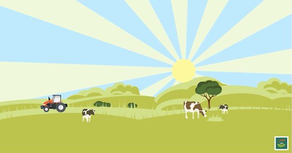 banniere video assurance prairies