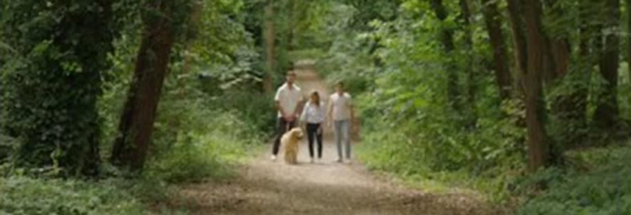 Prévention pour nos chiens lors d'une balade en forêt