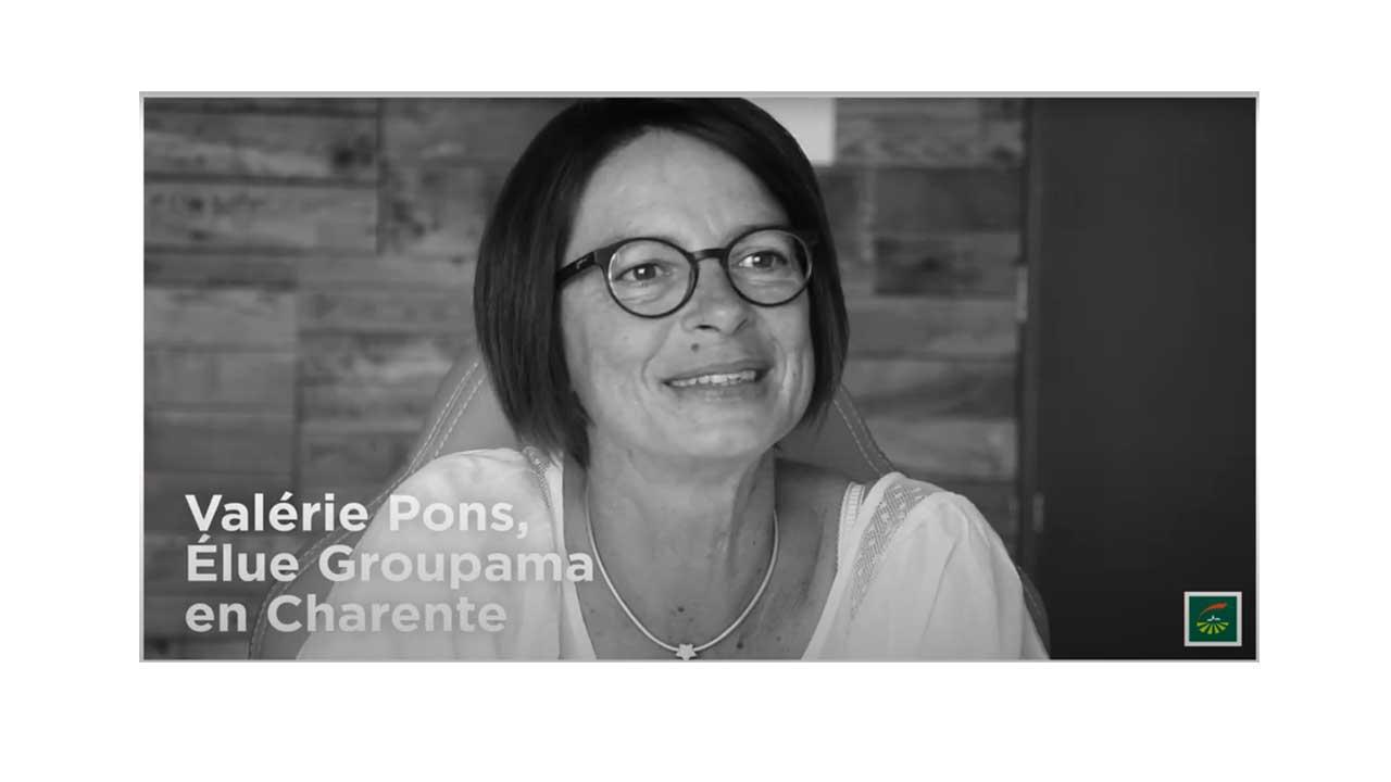 GDMR-GCA-VIDEO V PONS