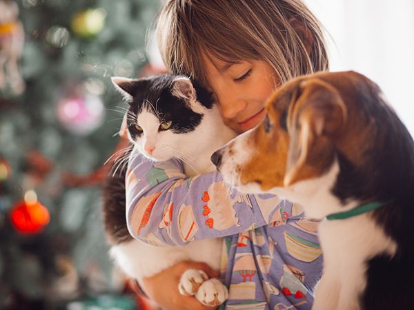 GDMR - GMED - Visuel rebond assurance chien chat - Offres étudiantes 