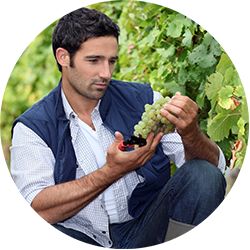 GDMR - GMED - Photo ronde vigneron