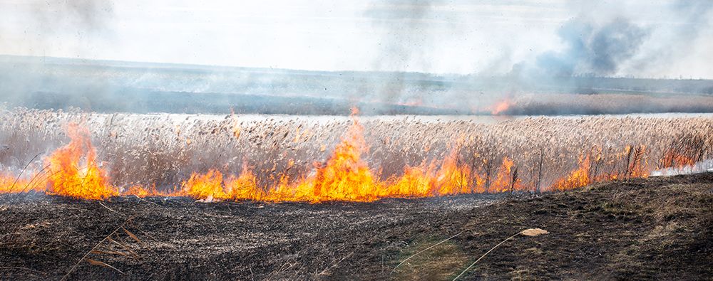 GDMR - GMED - Visuel incendie rebond 600x300