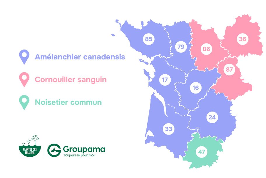 GCA - GDMR - Carte essences d'arbres
