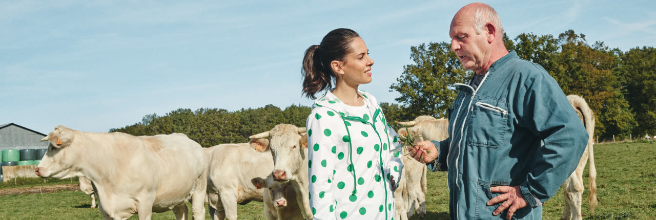 GCM - GDMR - bannière Cerise en compagnie d'un homme agriculteur et ses vaches dans son champs.